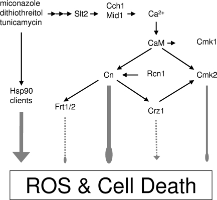 FIG. 8.