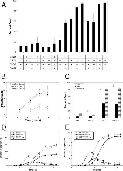 FIG. 4.