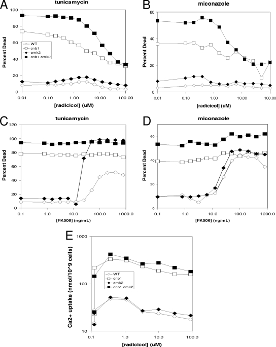 FIG. 7.