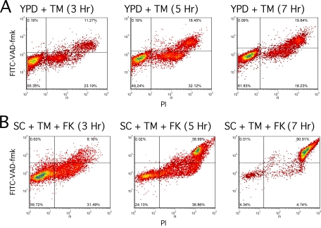 FIG. 2.