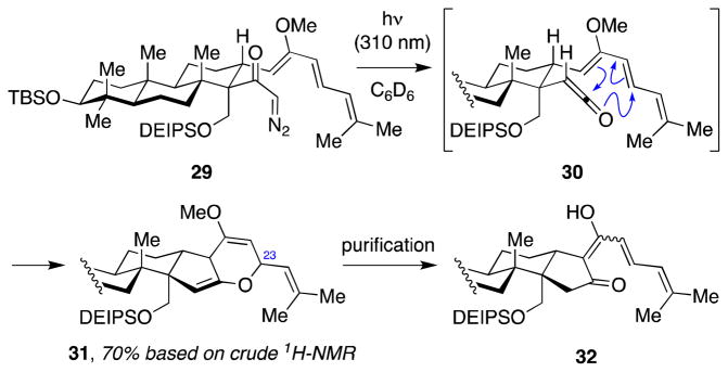 Scheme 6