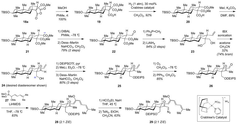 Scheme 5