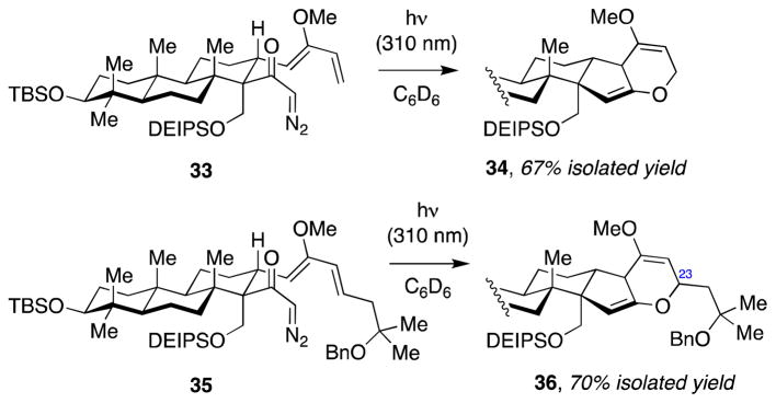 Scheme 7