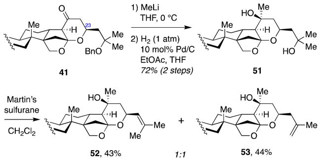 Scheme 13