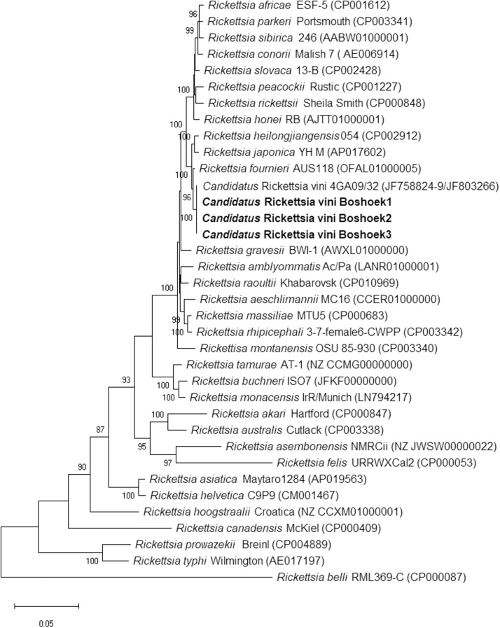 Fig. 2