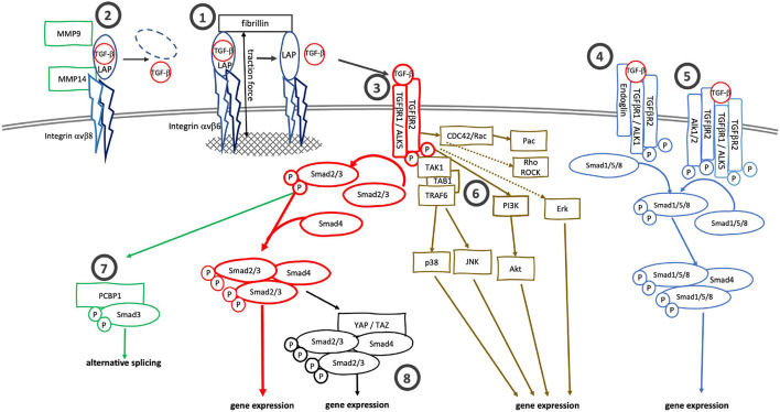 FIGURE 1