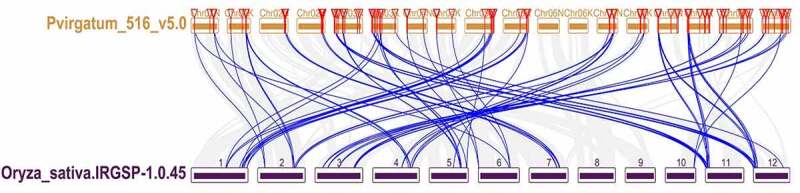 Figure 7.