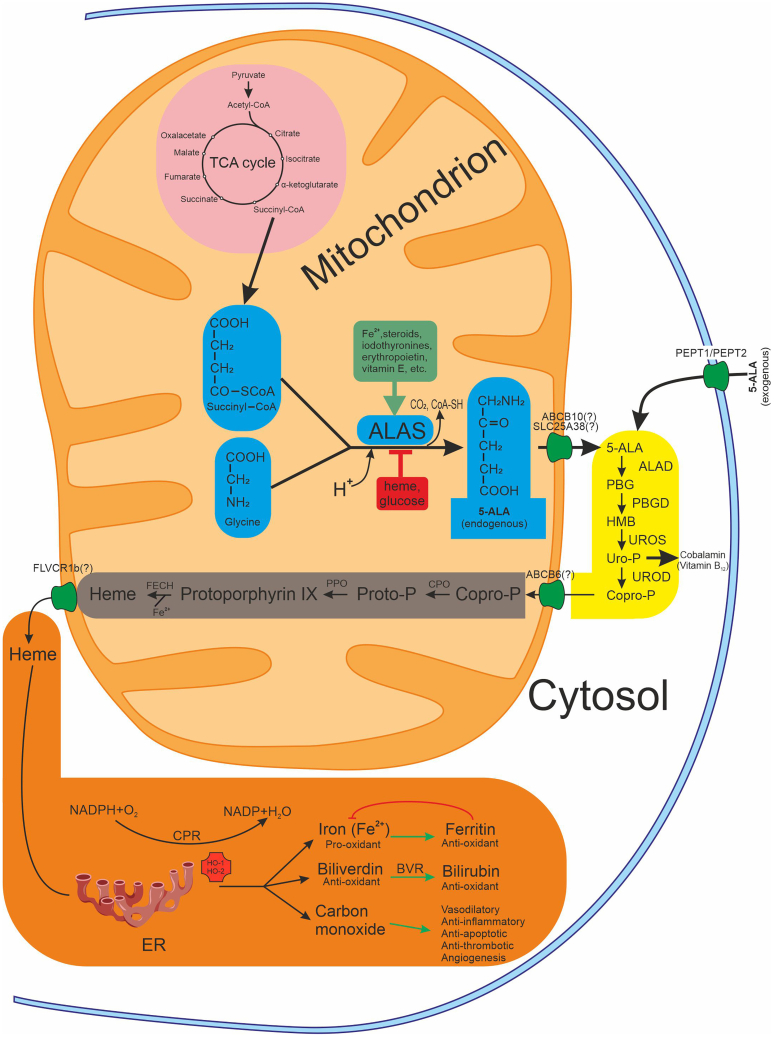 Figure 1