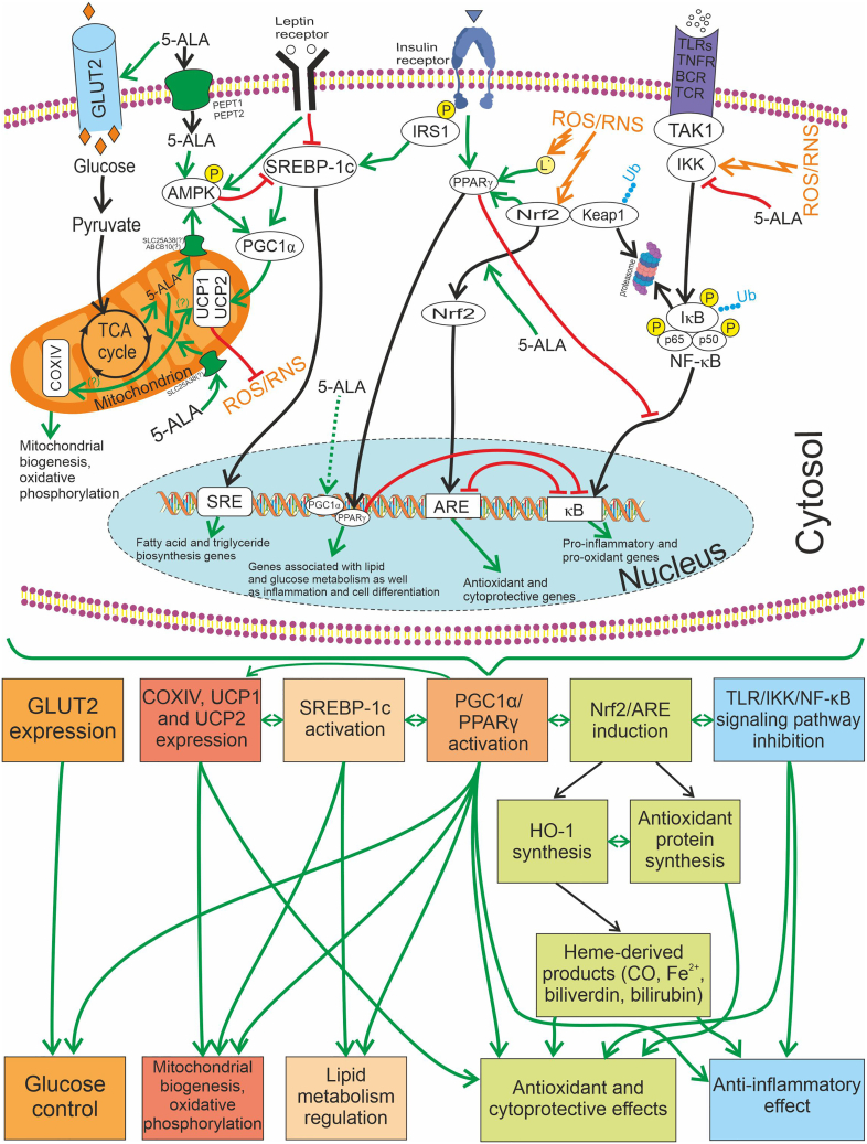 Figure 2