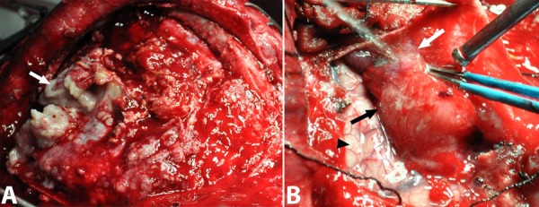 Figure 6