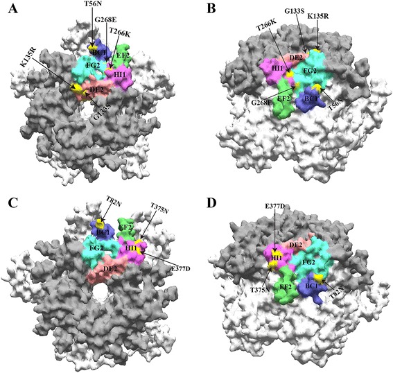 Fig. 3