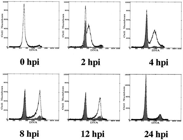 FIG. 6.