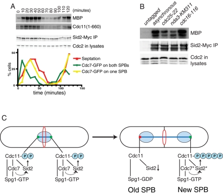 FIGURE 6: