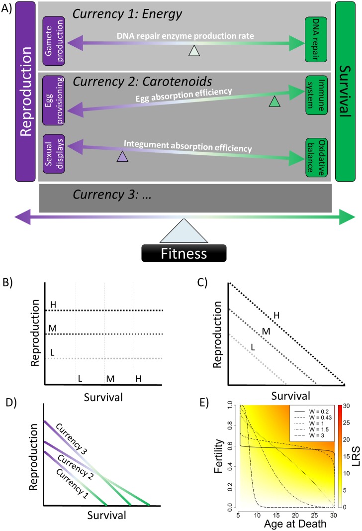 Fig 1