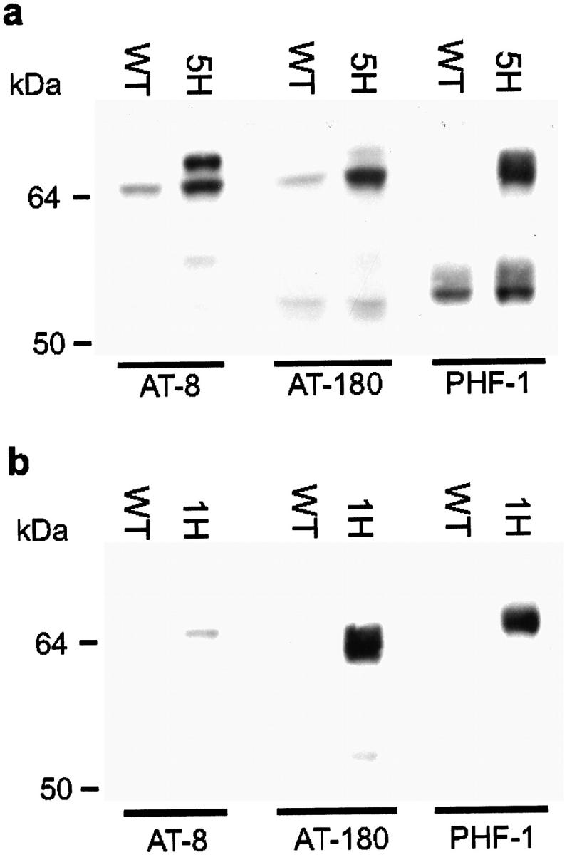 Figure 5.