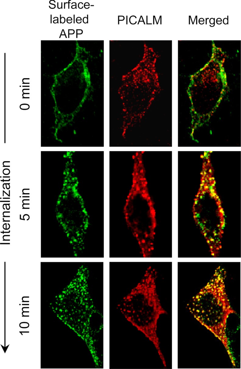 FIGURE 1.