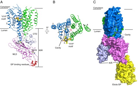 Fig. 4.