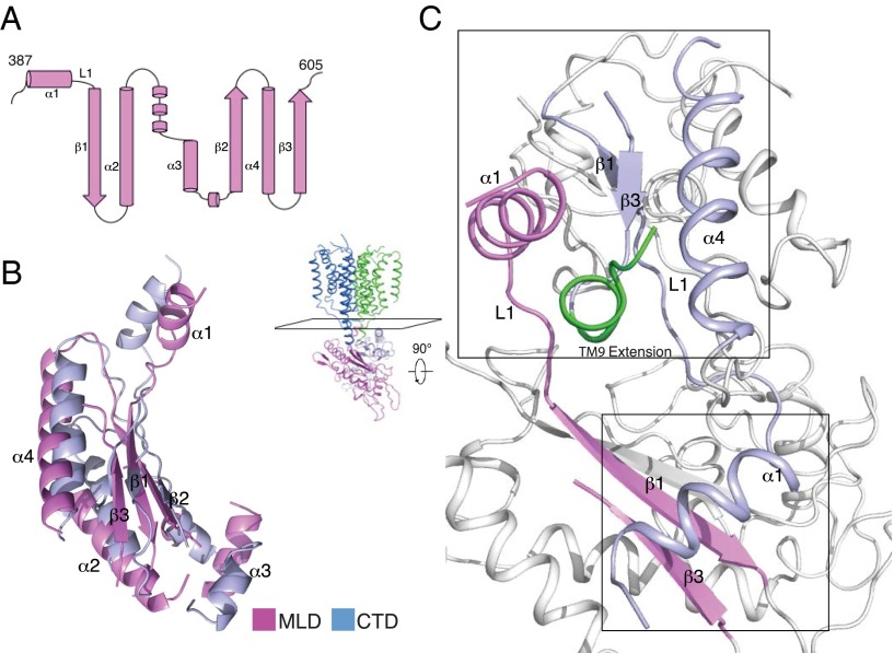 Fig. 3.