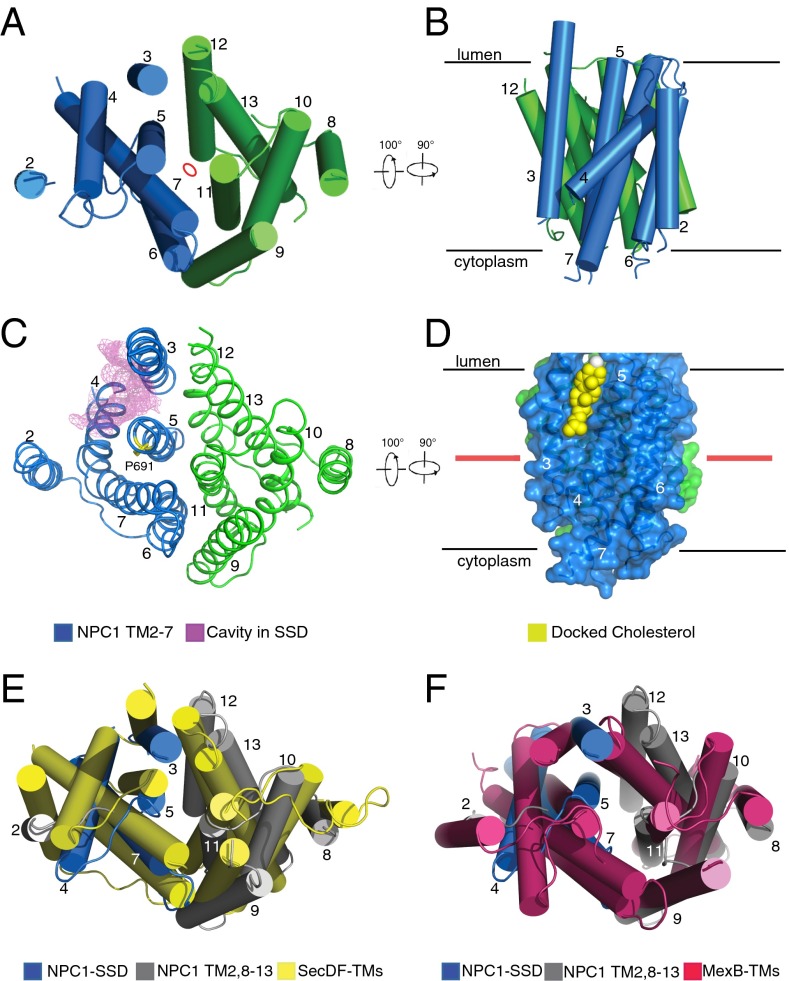 Fig. 2.