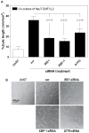 Figure. 2