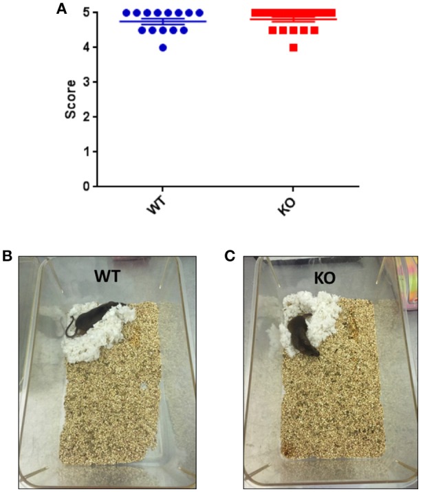 Figure 13