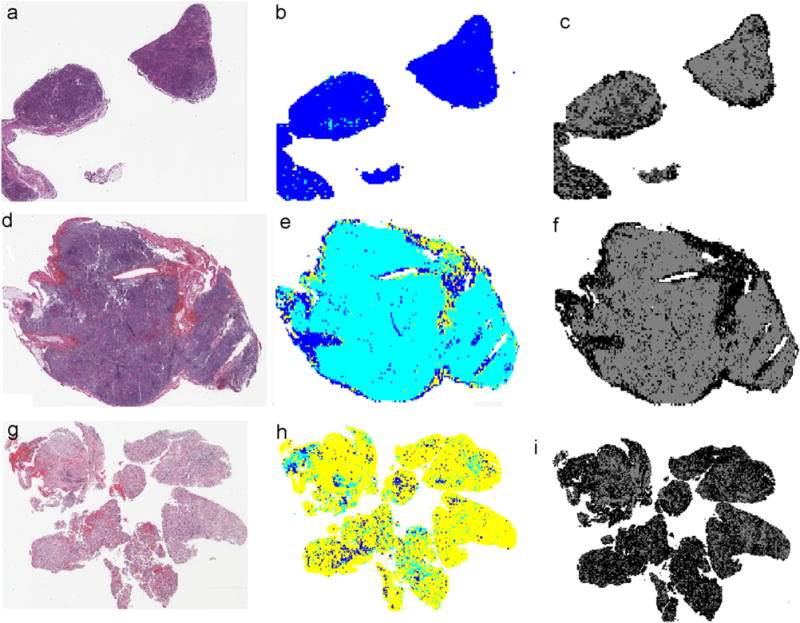 Fig. 9