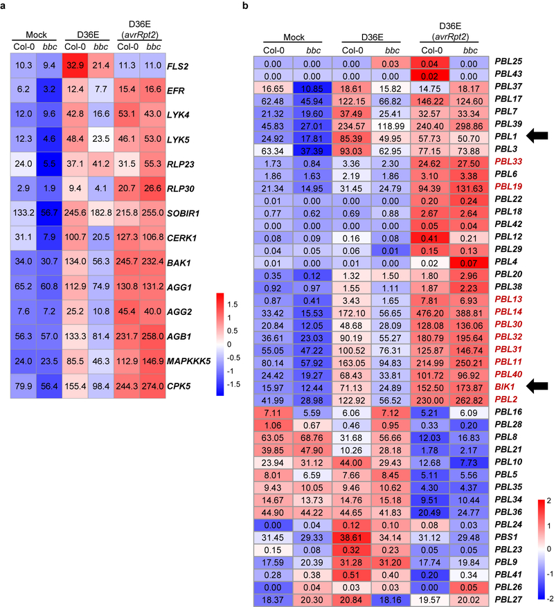 Extended Data Fig. 9|