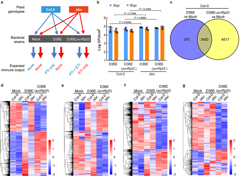 Extended Data Fig. 7|