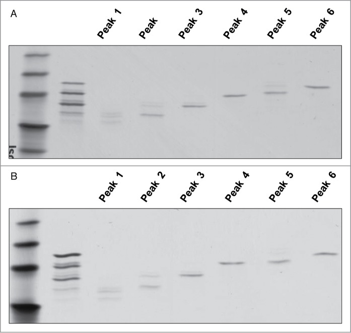 Figure 10.