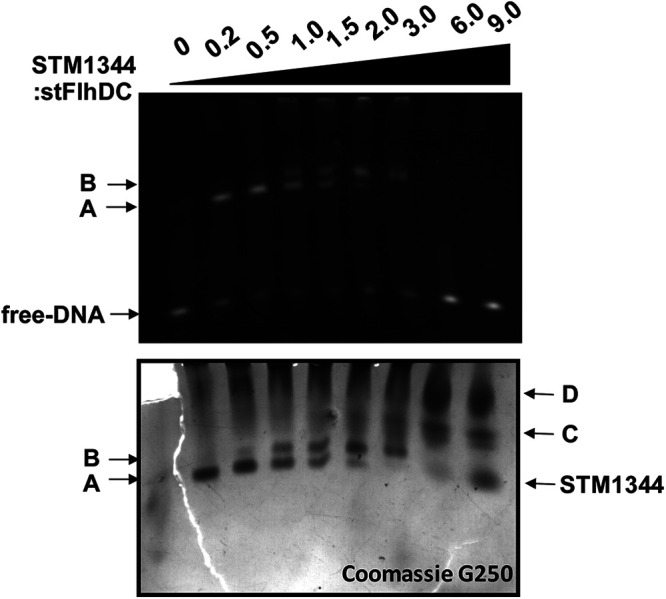 FIG 5