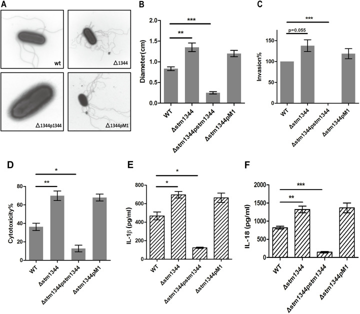 FIG 7