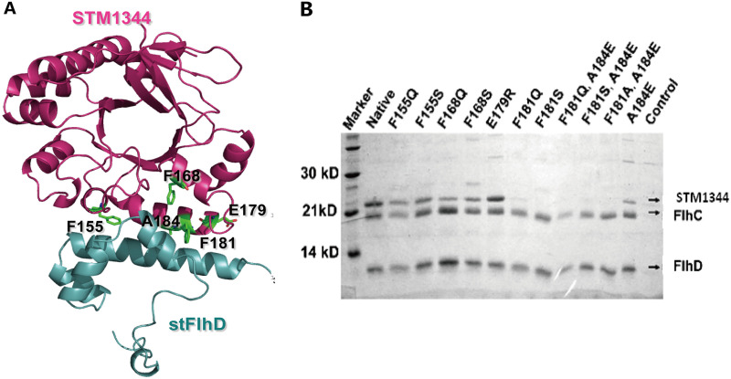 FIG 4