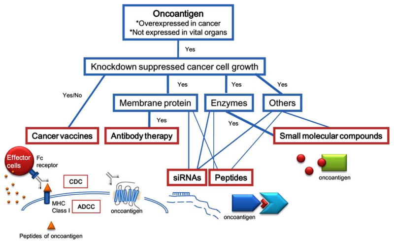 Fig. (1)