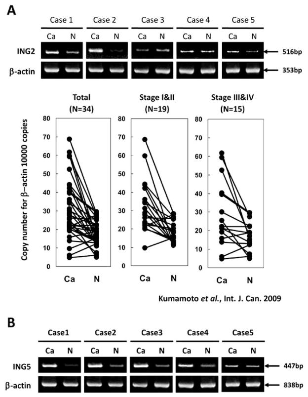 Fig. (3)