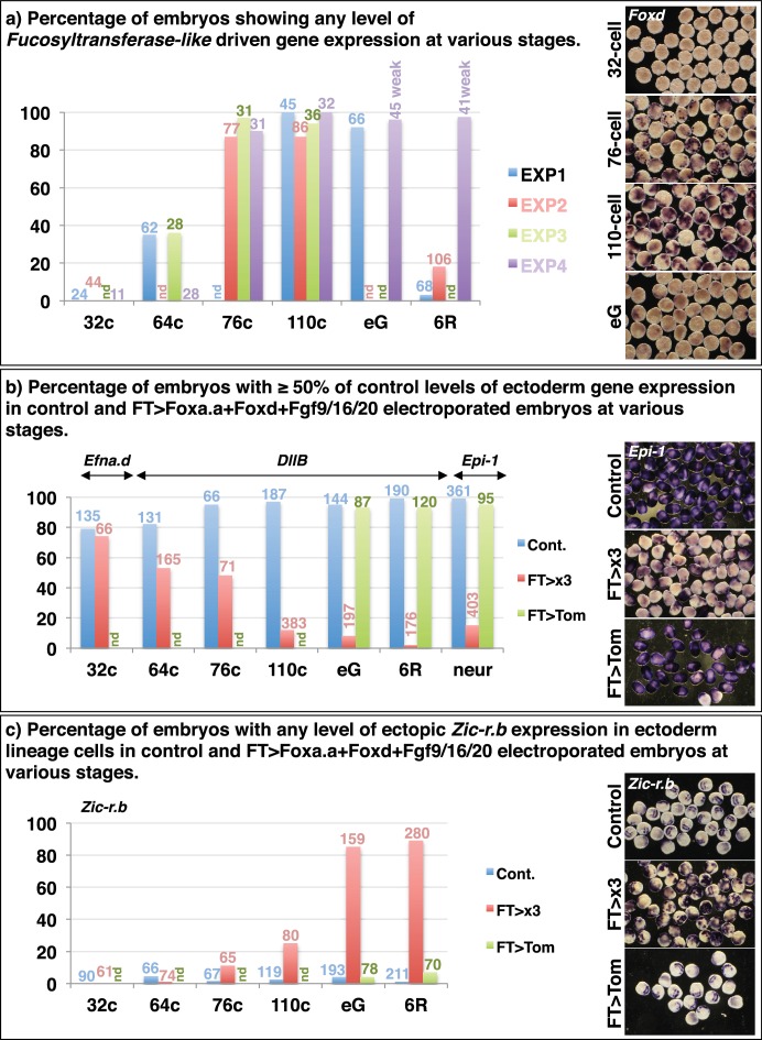 Figure 5—figure supplement 1.