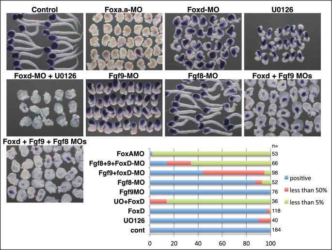 Figure 2—figure supplement 2.