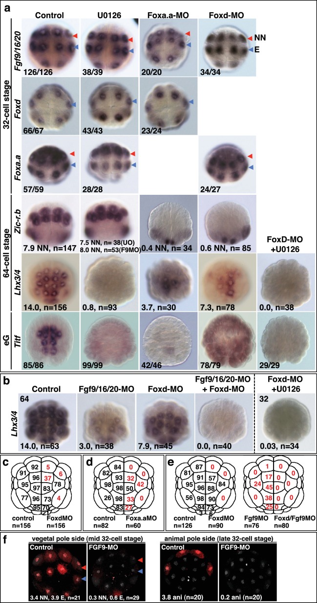 Figure 2—figure supplement 1.