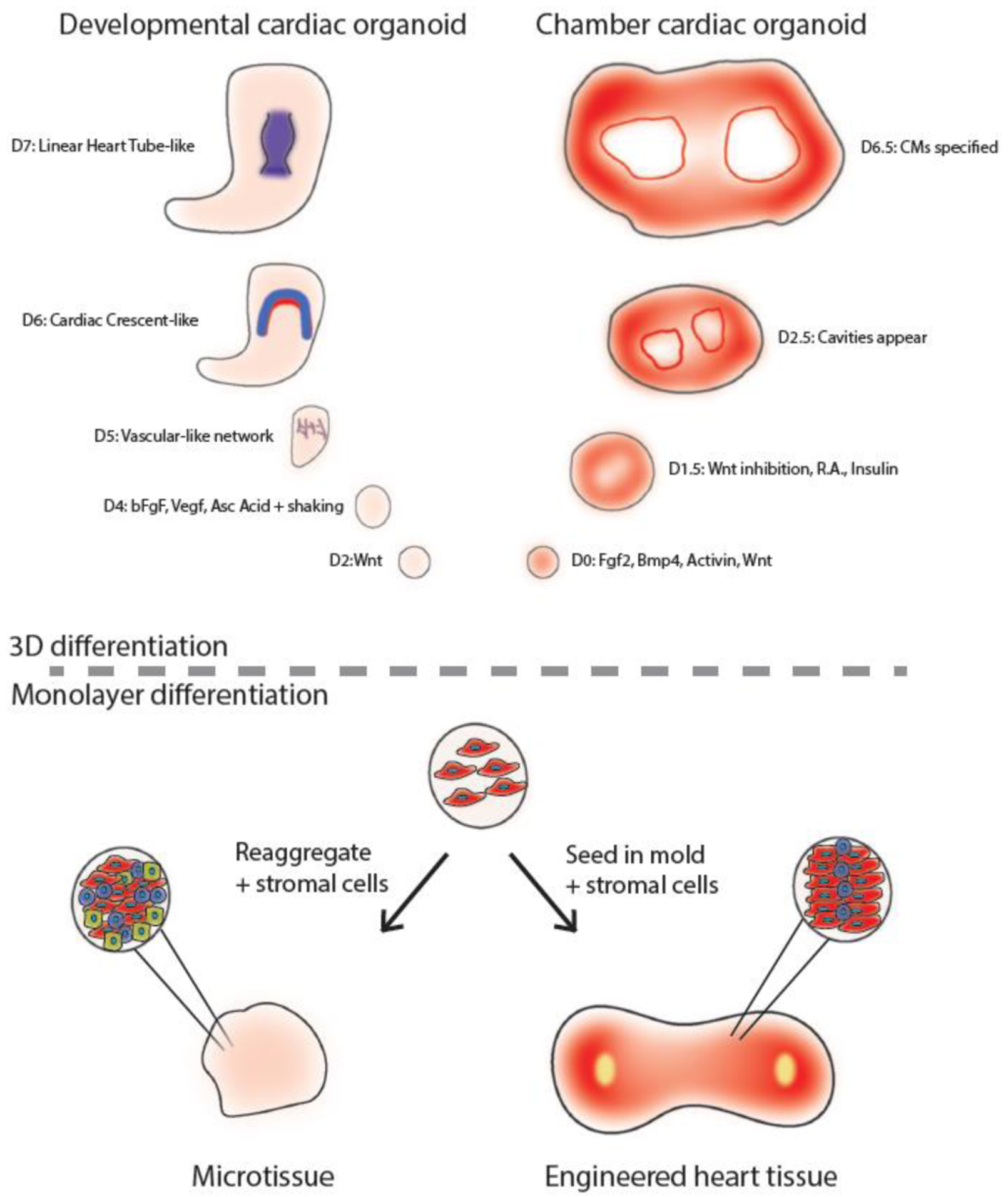 Figure 2: