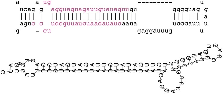 Figure 4.