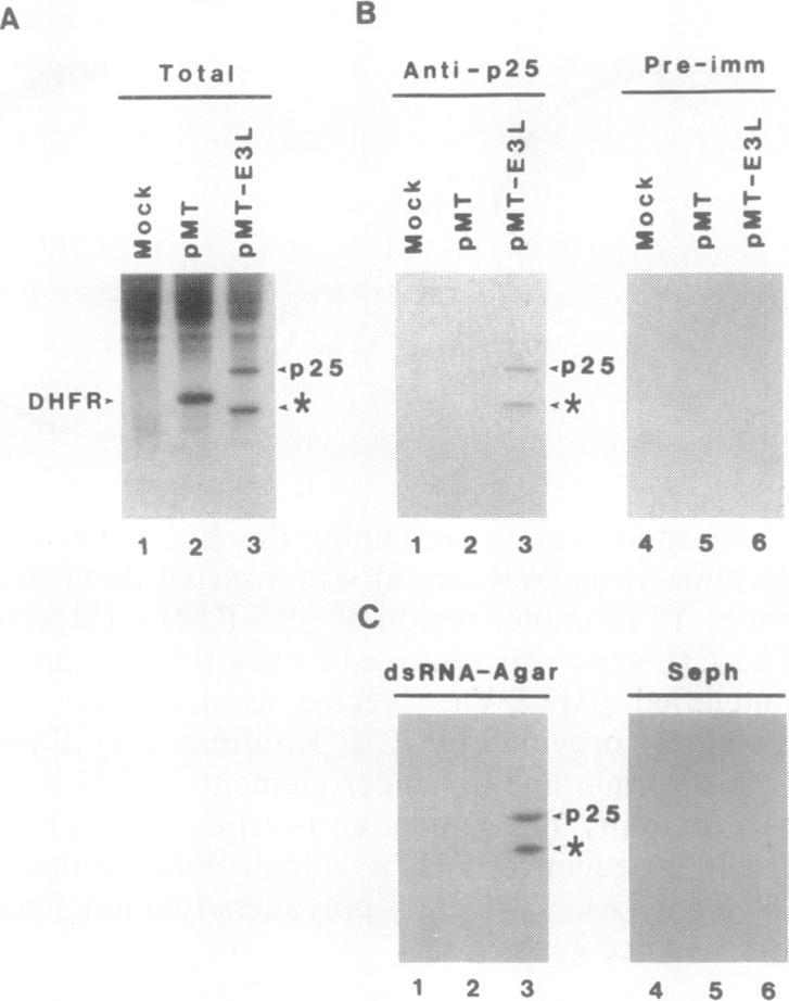 graphic file with name pnas01085-0057-a.jpg