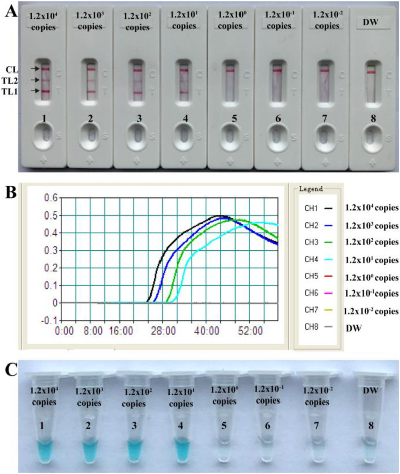 Fig. 3