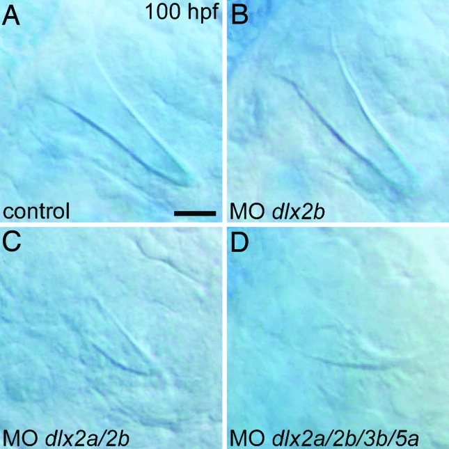 Fig. 5.