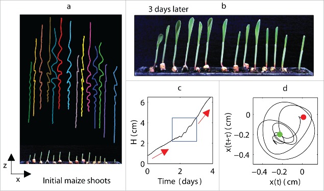 Figure 1.