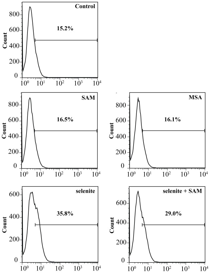 Figure 7