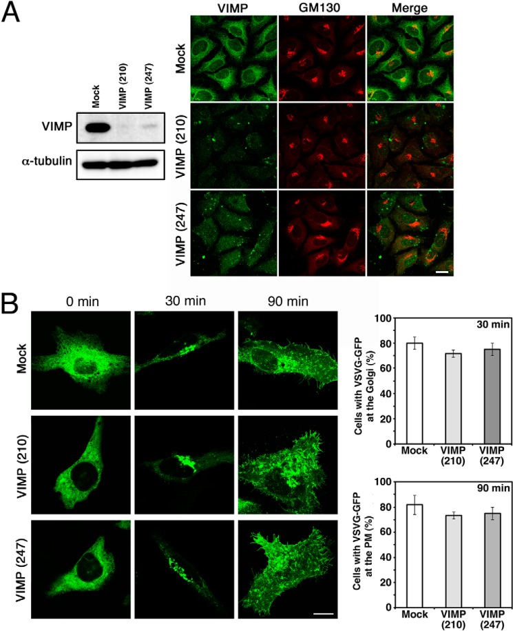 FIGURE 4.