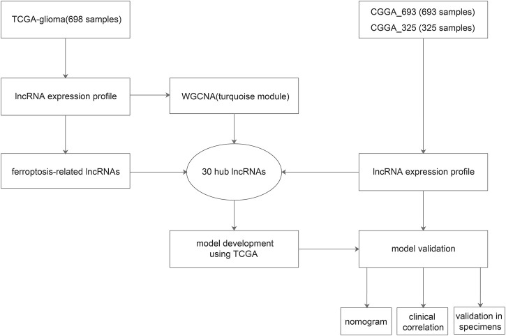 FIGURE 1