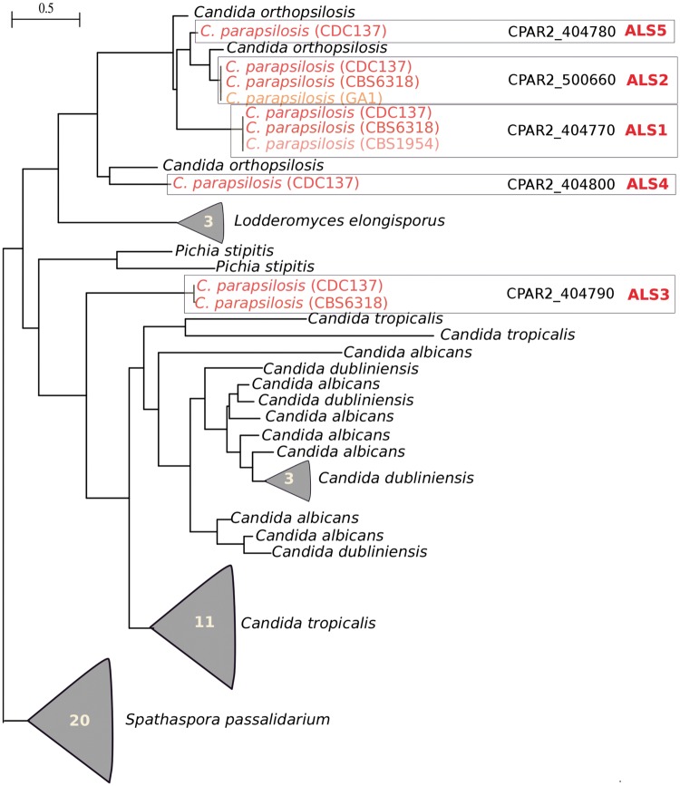 Fig. 2.—