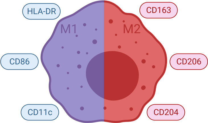 Figure 7