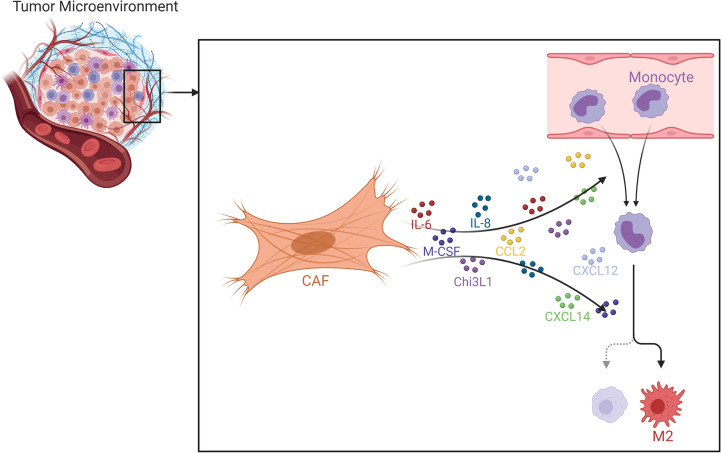 Figure 10