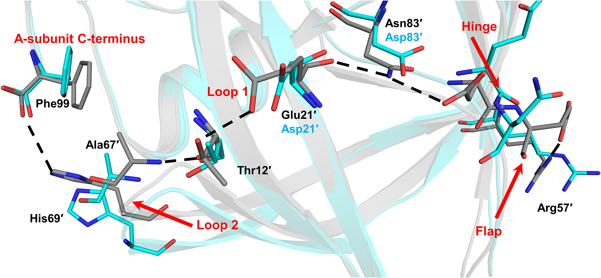 Figure 7: